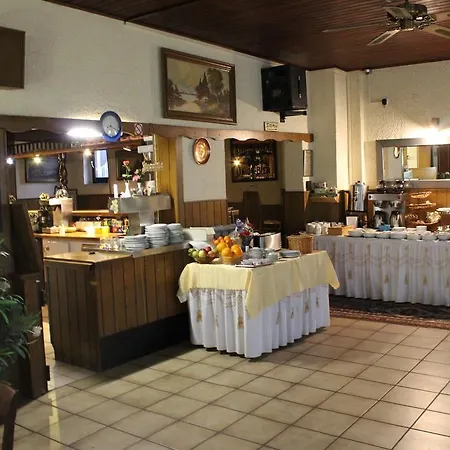 Airport-hotel Zum Taubengrund Отель Кельстербах
