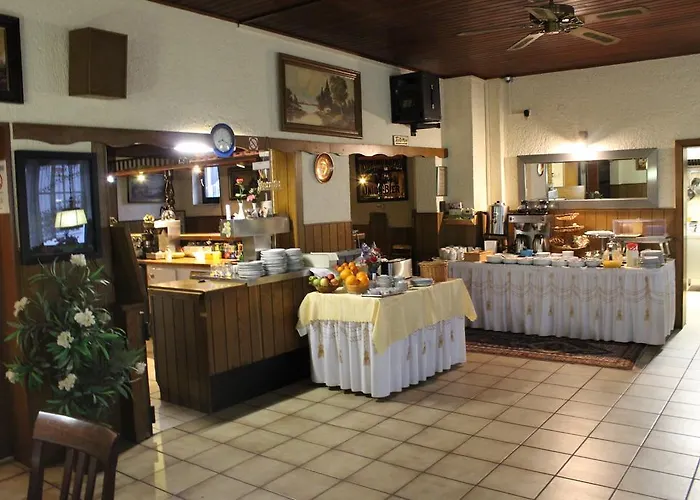 Airport-hotel Zum Taubengrund Отель Кельстербах