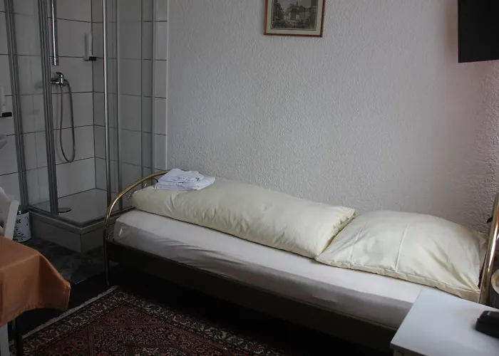 Hotel Airport-hotel Zum Taubengrund 2*