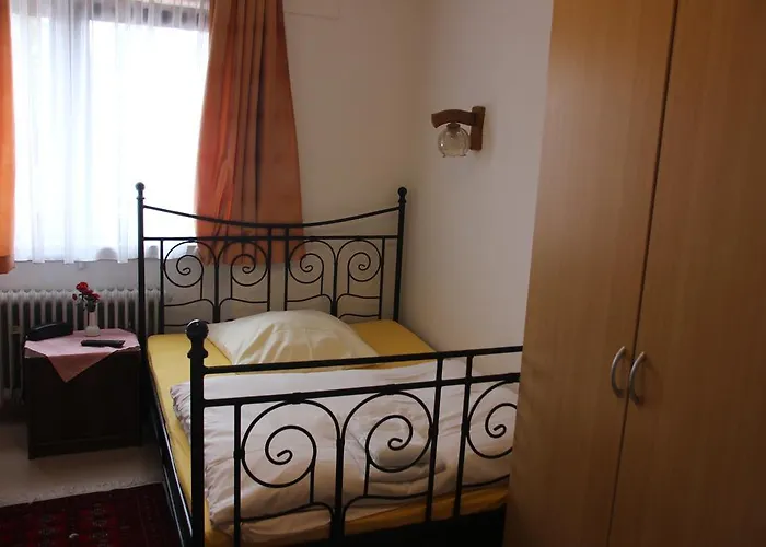 Airport-hotel Zum Taubengrund 2*