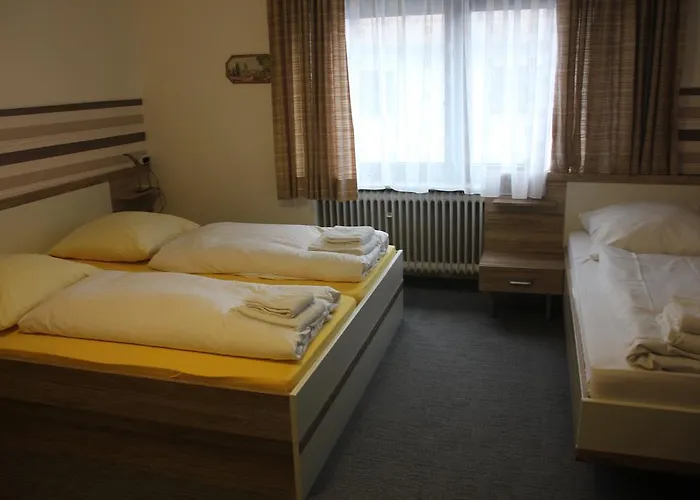 Airport-hotel Zum Taubengrund Отель 2*